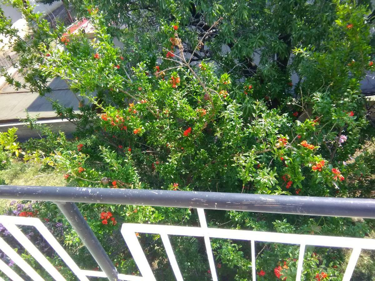 Apartment Bella Marija Senj  Dış mekan fotoğraf
